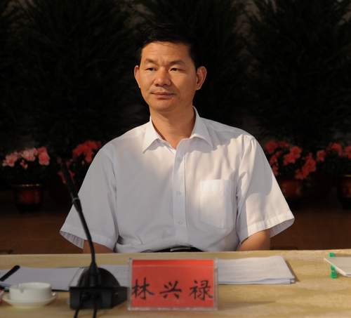 图为龙岩市副市长林兴禄讲话