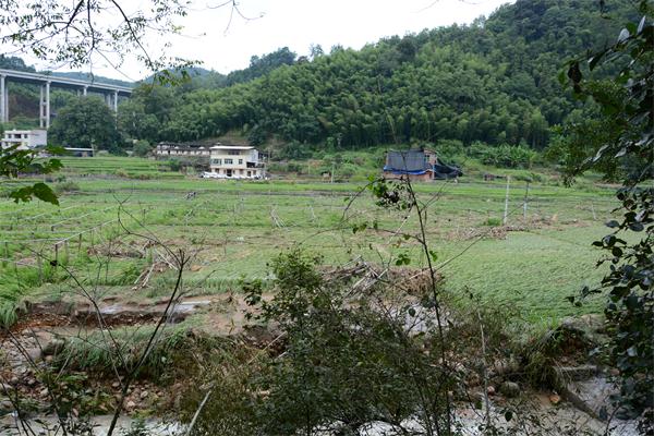 漳平人口有多少_漳平人口有多少