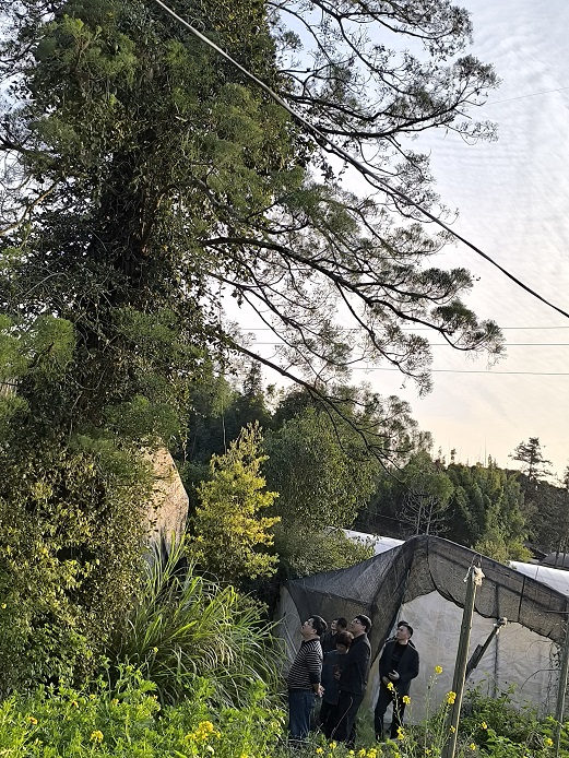OLDSRC=W020240322392035767906.jpg
