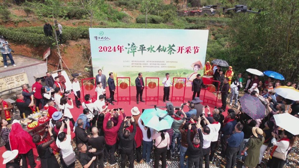 漳平市舉辦2024年漳平水仙茶開采節(jié)