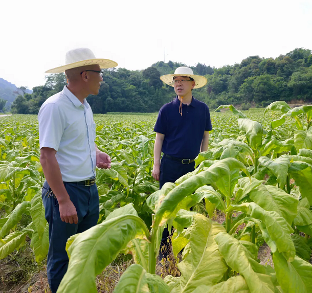 漳平市委主要领导赴新桥镇调研1.webp.png