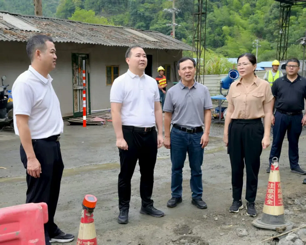 漳平市领导到拱桥镇调研乡村振兴和安全防范工作1.webp.png