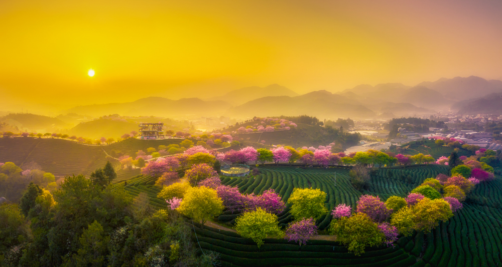 《春色满园》华荣丽.jpg