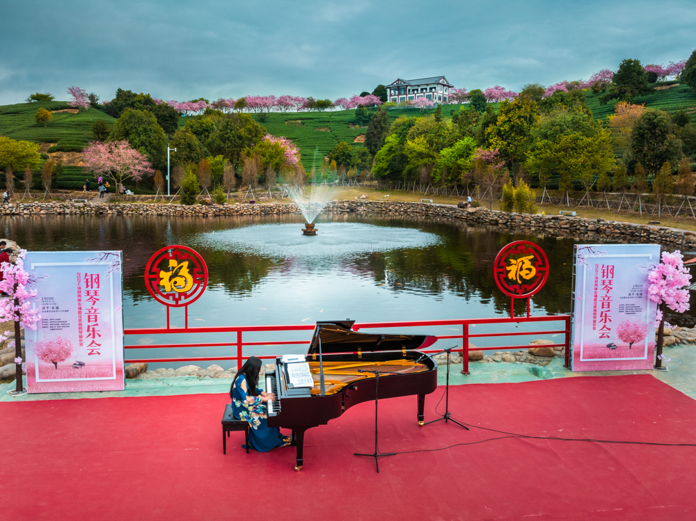 《“樱”乐交响曲》华荣丽13959050619.jpg